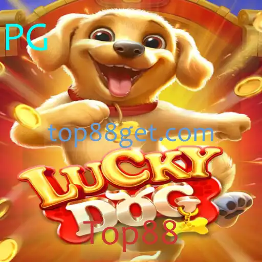 Explorando o Universo de LuckyDog: Regras, Estratégias e o Impacto Atual